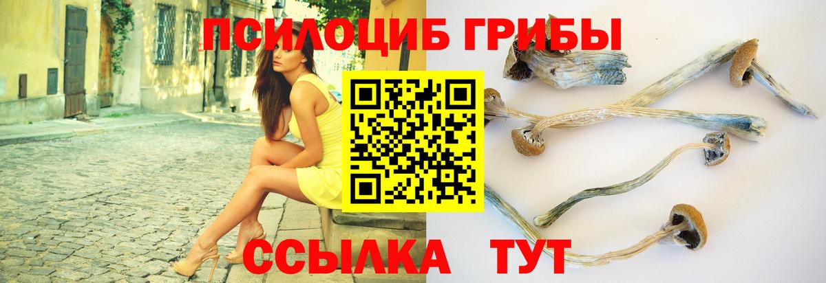 Псилоцибиновые грибы ЛСД  Вход с VPN  наркошоп  Ревда 